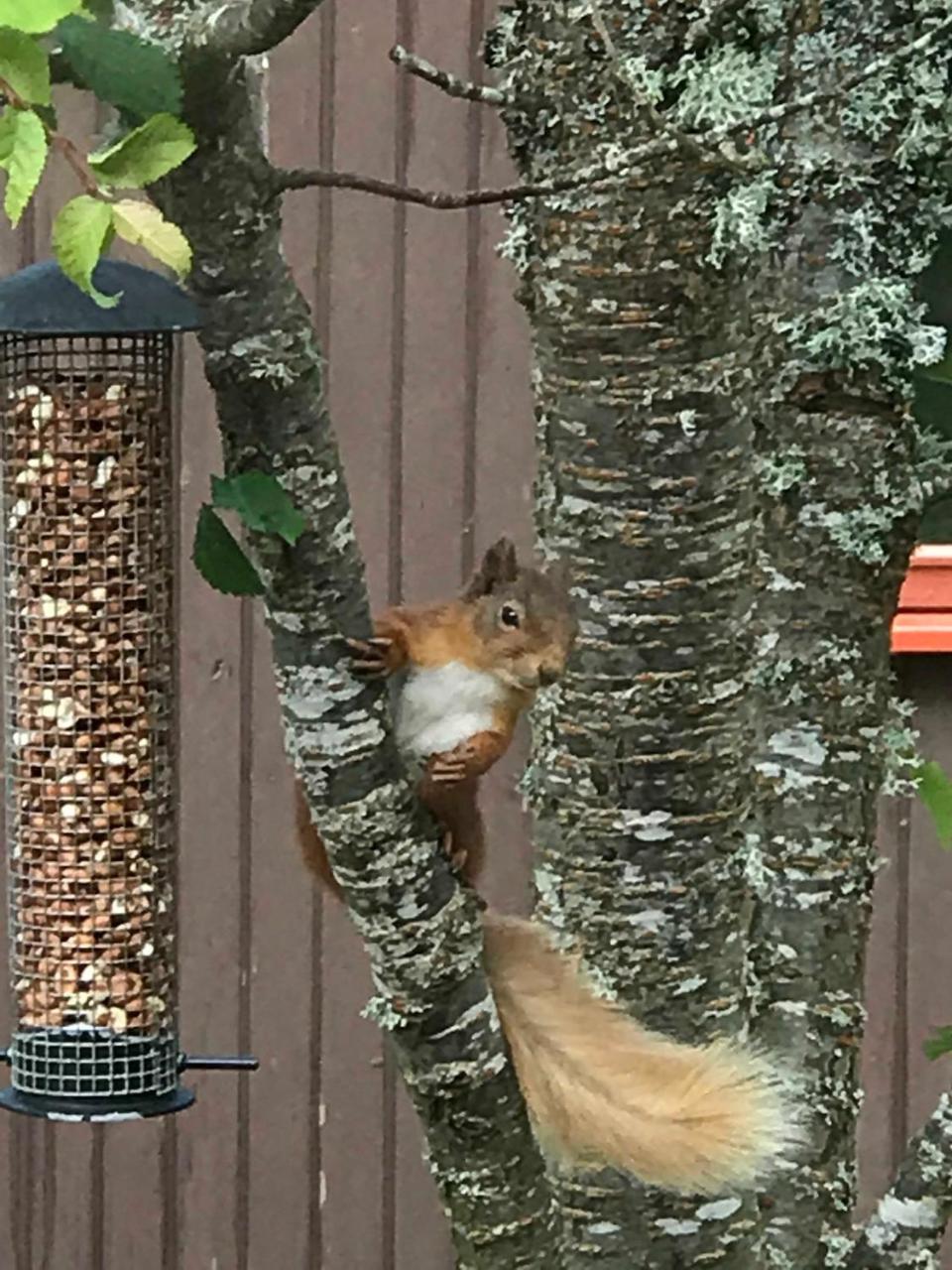 Tullochwood Lodges Forres Exteriér fotografie